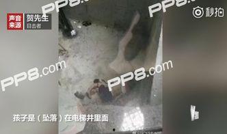 可立尿视频,神奇产品背后的科学原理与实际应用