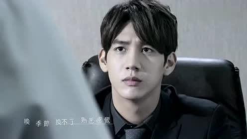 严爵视频,旋律中的情感与回忆