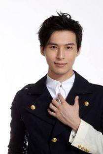 严爵视频,旋律中的情感与回忆