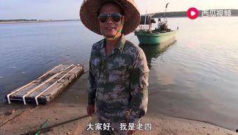 老四赶海视频,探寻海洋宝藏的奇妙之旅