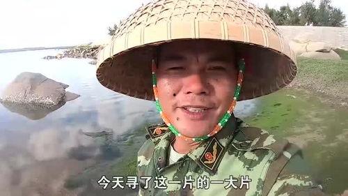 老四赶海视频,探寻海洋宝藏的奇妙之旅