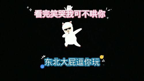 大新搞笑视频,笑出腹肌的欢乐时光