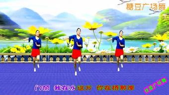 欢快广场舞视频大全2015,2015年度欢快广场舞视频大全精选回顾