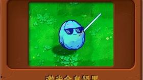 全息坚果视频,揭秘未来食品的奇幻之旅