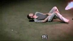 踢蛋的视频,一场激情四溢的足球盛宴