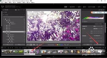 图像处理视频,从入门到精通的实践指南