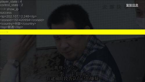 黄牒视频观看,一场视觉与思想的碰撞之旅